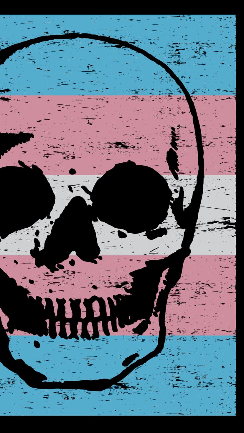 Black skull silhouette centered over distressed light blue, pink, and white stripes with a gritty grunge texture.