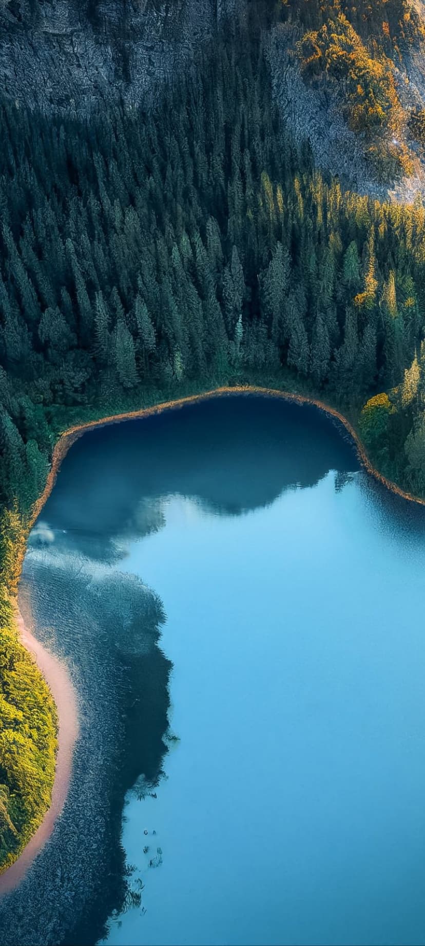 Cerulean lake centered in a dense pine forest with sunlight hitting the green treetops from a drone perspective.