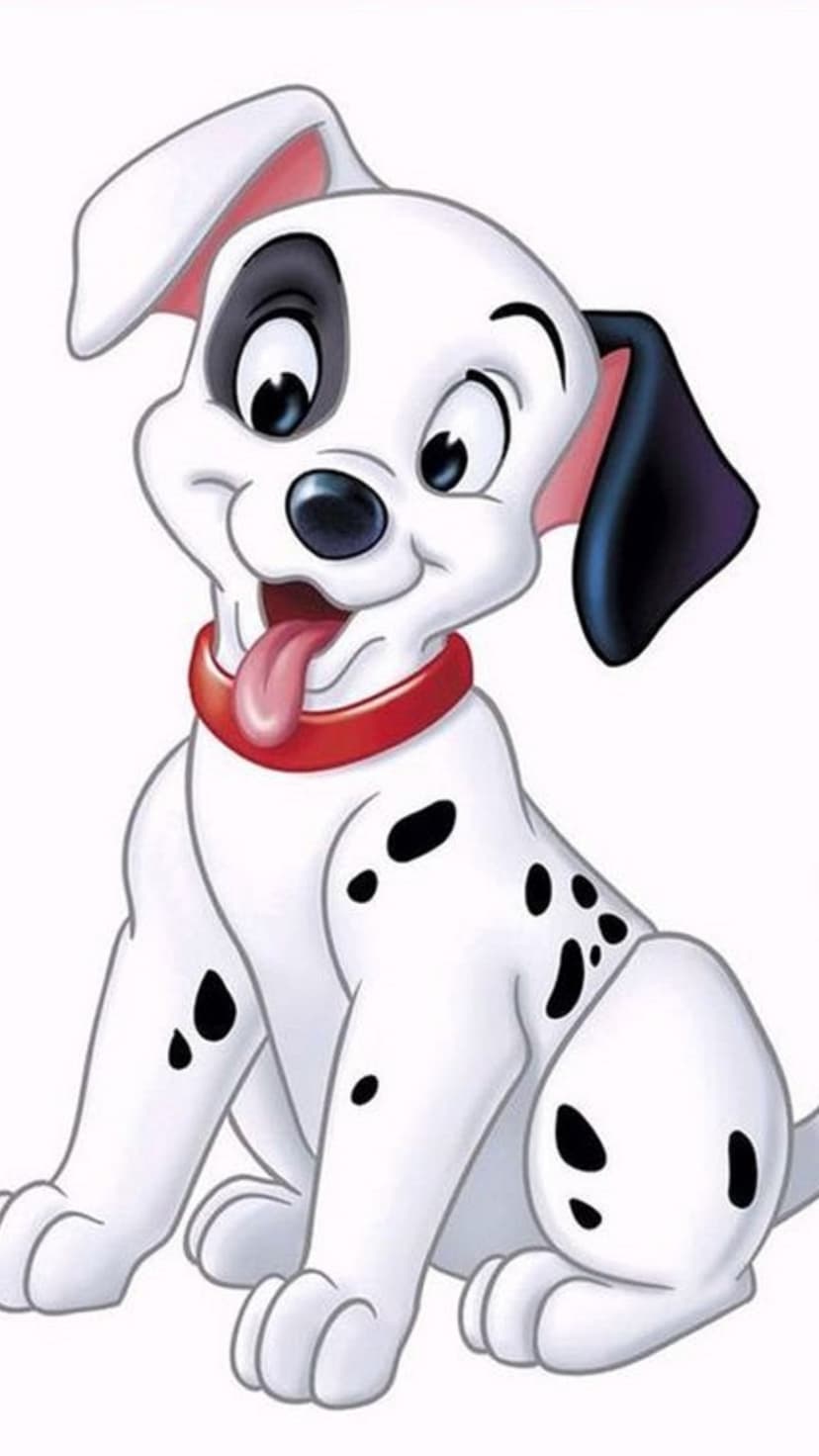 Dalmatian puppy with black spots and a red collar sits with its pink tongue out and one black eye patch.