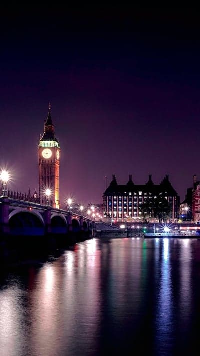 Lotus Reflection - Pond's Calm Mirror