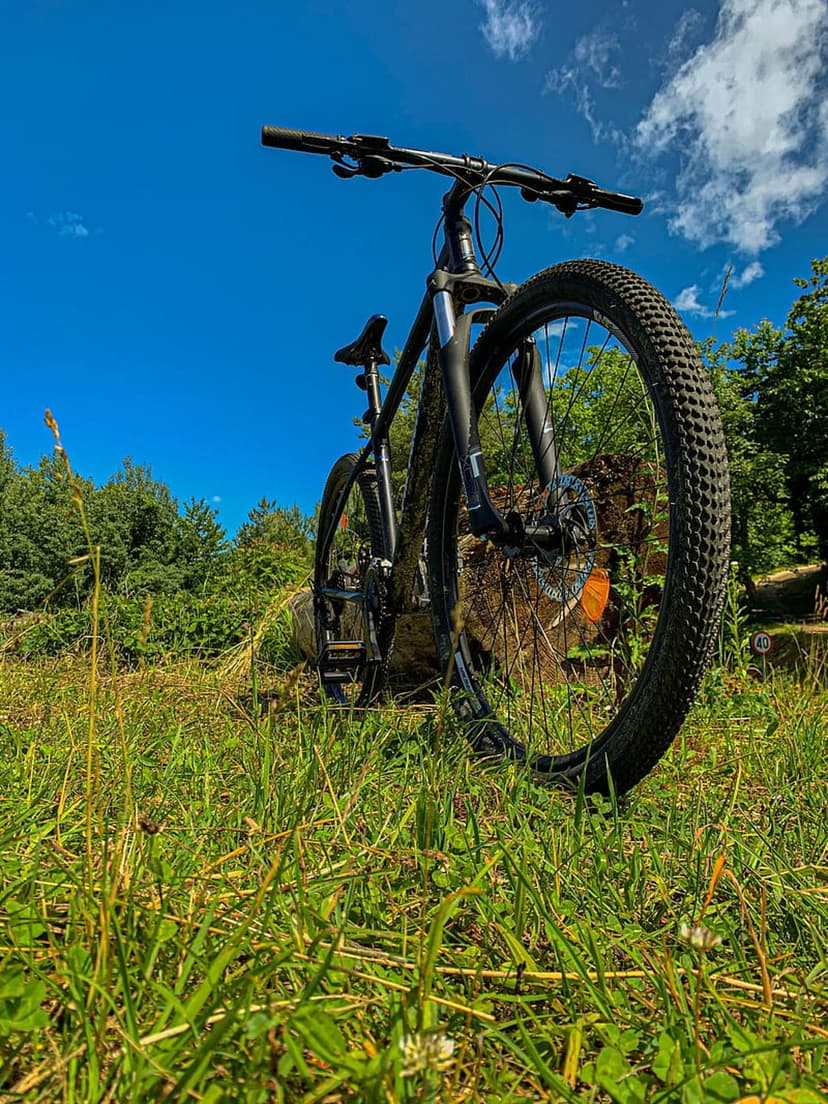 Black mountain bike on a grassy hill under a blue sky with white clouds and a dense forest in the background.