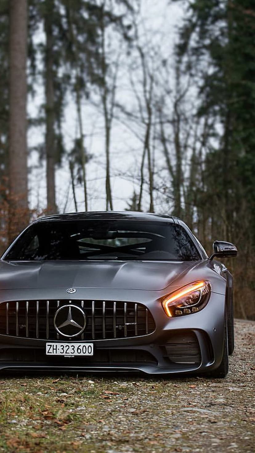 Matte gray Mercedes-AMG GT with glowing headlights parked on a gravel forest road during a misty twilight evening scene.