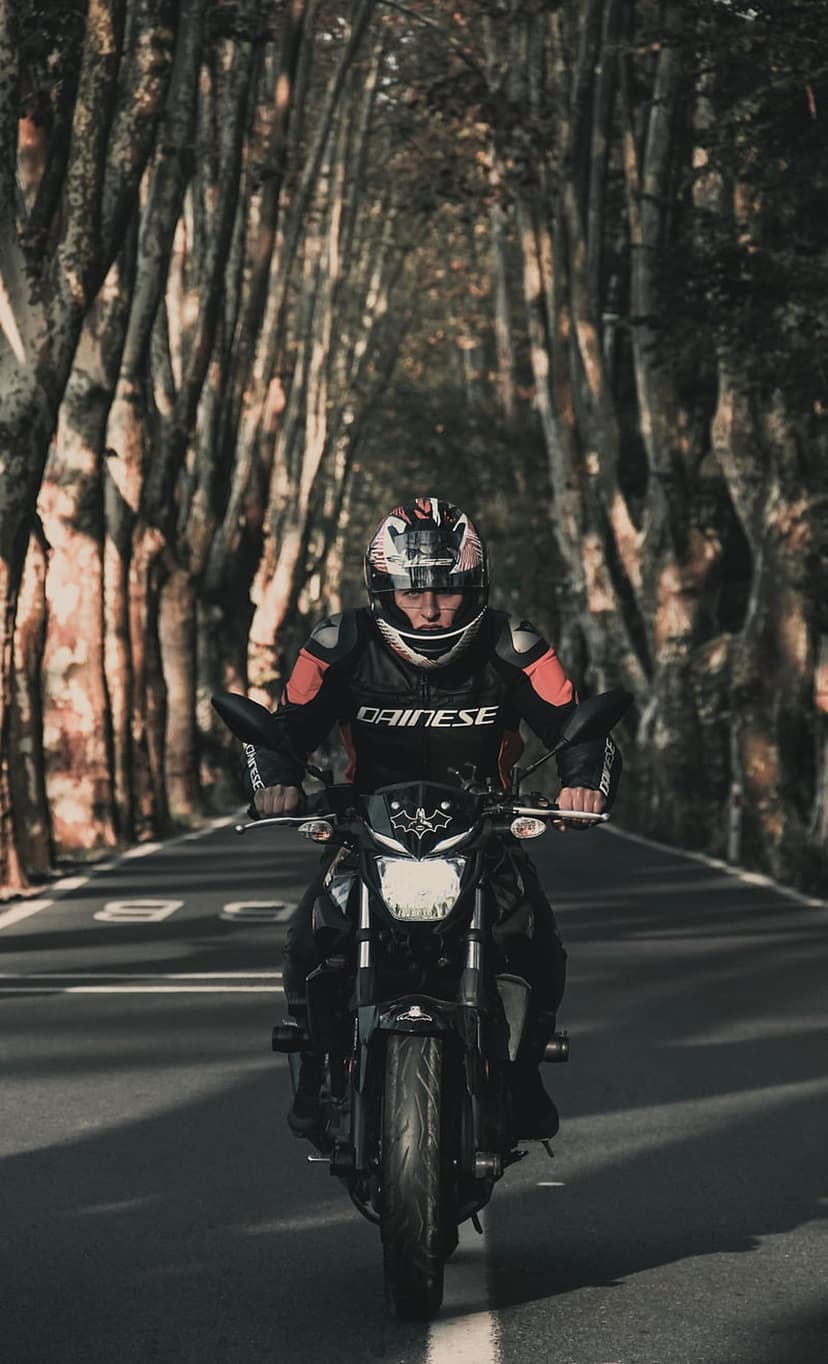 Motorcyclist in a leather jacket rides a black bike through a sunlit tree tunnel on a paved rural road.