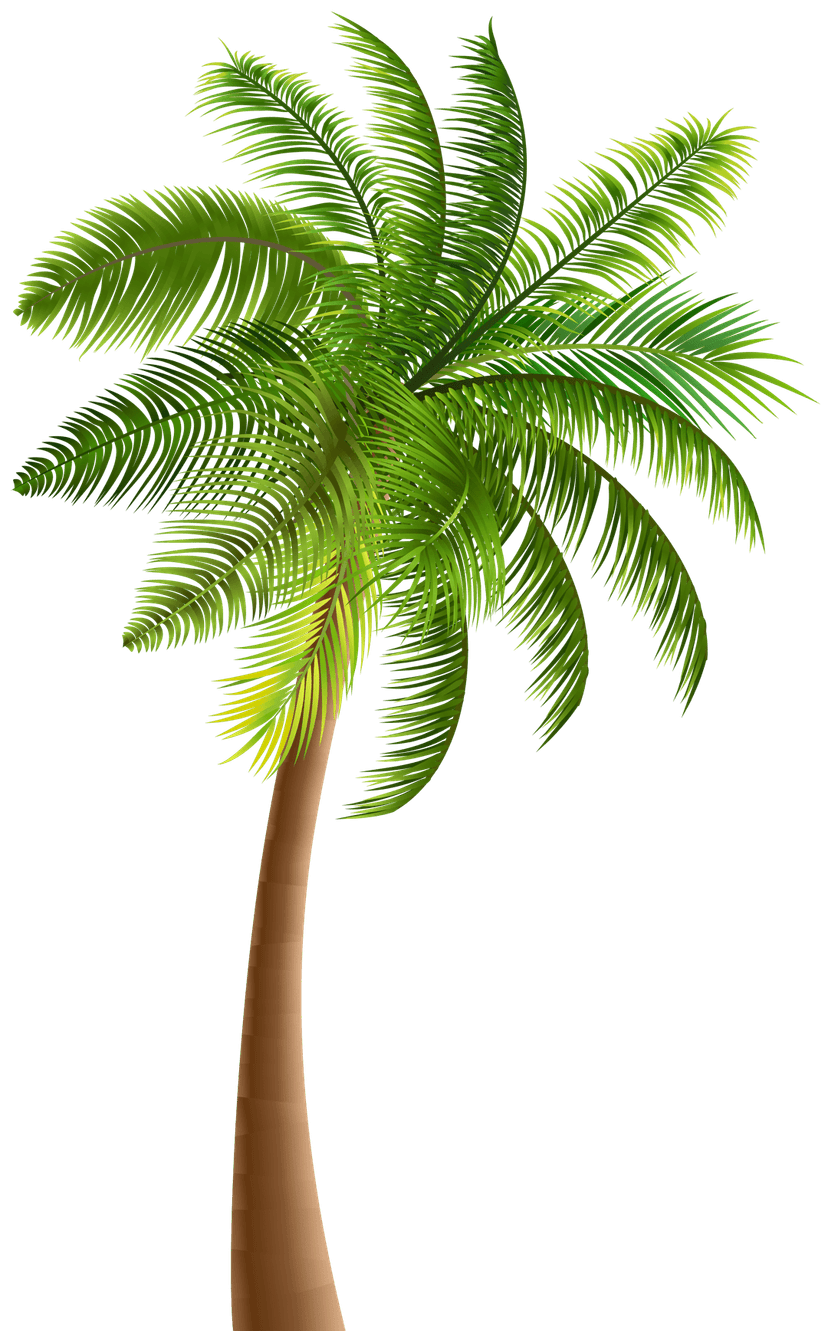 Palm tree botanical illustration with vibrant green leaves and a textured brown stem on a clear background.