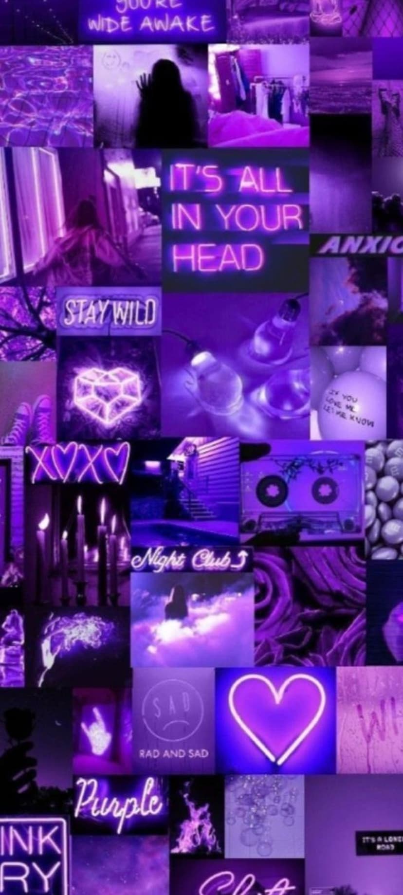 Neon signs reading stay wild and it's all in your head glow amidst a purple collage of clouds and city textures.
