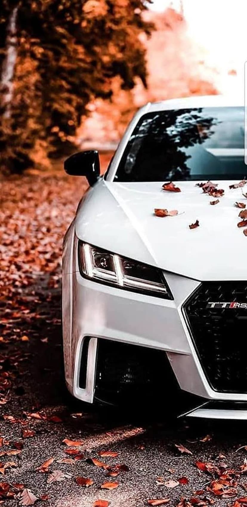 White Audi TT RS sports car with LED headlights on a road covered in orange autumn leaves in a forest.