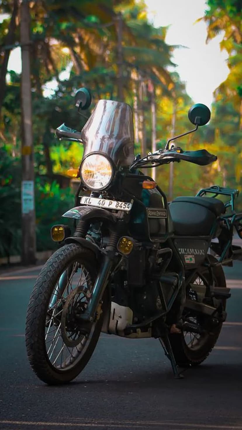 Royal Enfield Himalayan adventure motorcycle with yellow fog lights parked on a road beside palm trees.
