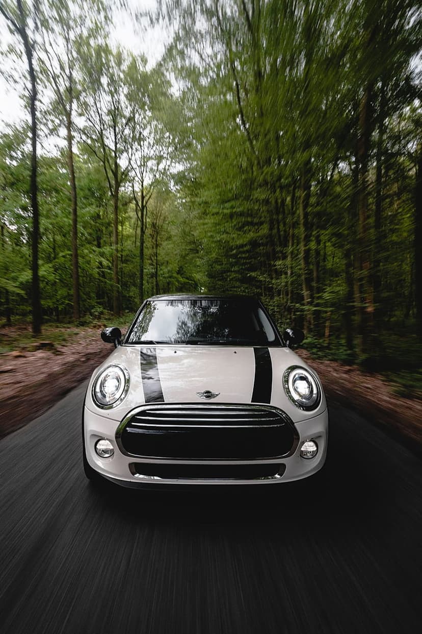 White Mini Cooper with black racing stripes drives through a dense green forest road with visible motion blur.