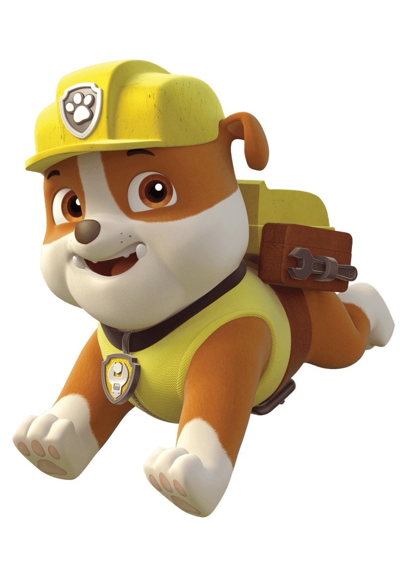 PAW Patrol characters grouped together in a colorful cartoon illustration featuring brave rescue dogs and pups.