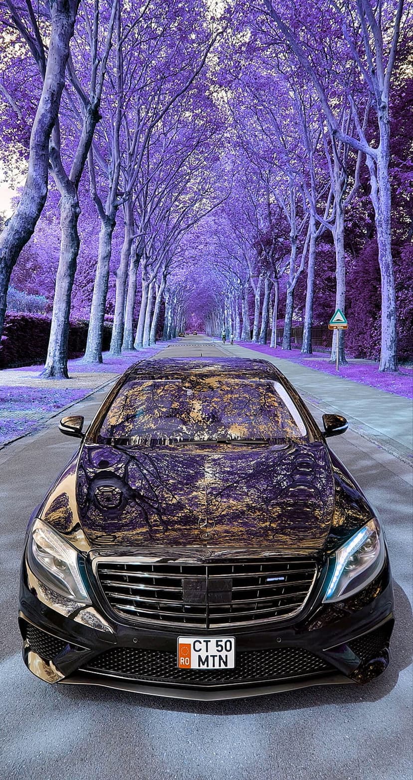 Black luxury sedan parked on an asphalt road surrounded by dense trees with vibrant purple and violet foliage.