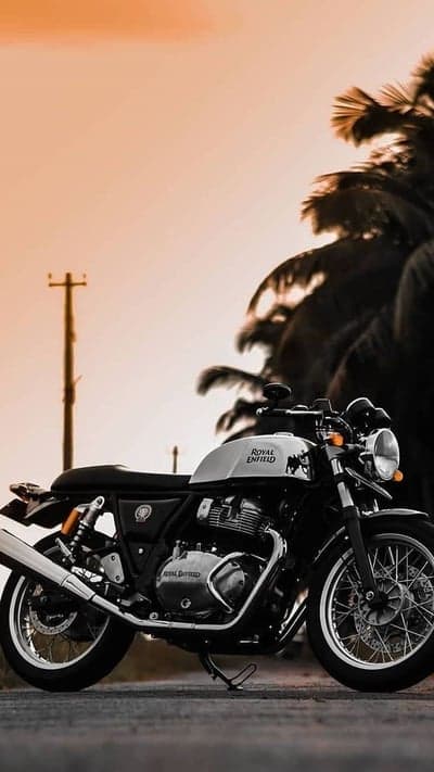 Royal Enfield Motorcycle Sunset Palm Tree Road Trip