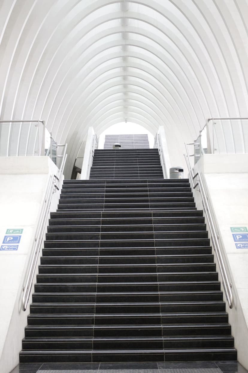 Wide dark stairs leading up to a bright white arched ceiling with symmetrical metal handrails and clean lines.