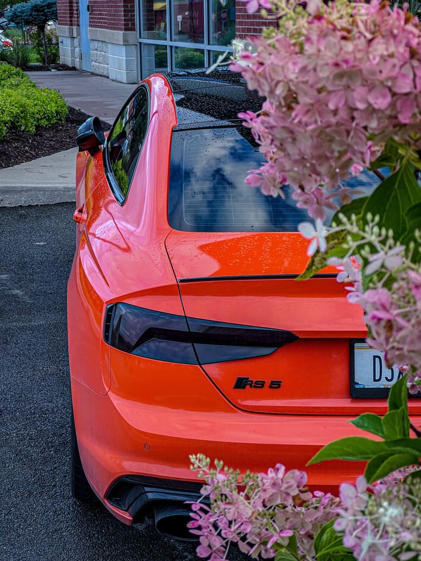 Orange Audi RS 5 coupe rear view parked near pink hydrangeas with a brick wall and green leaves in background.
