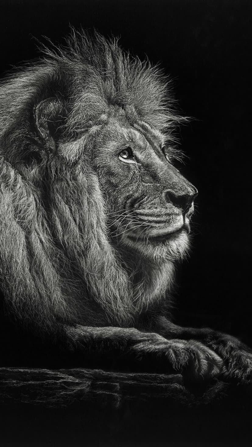 Male lion with a thick mane stares forward against a dark background in a high-contrast black and white style.