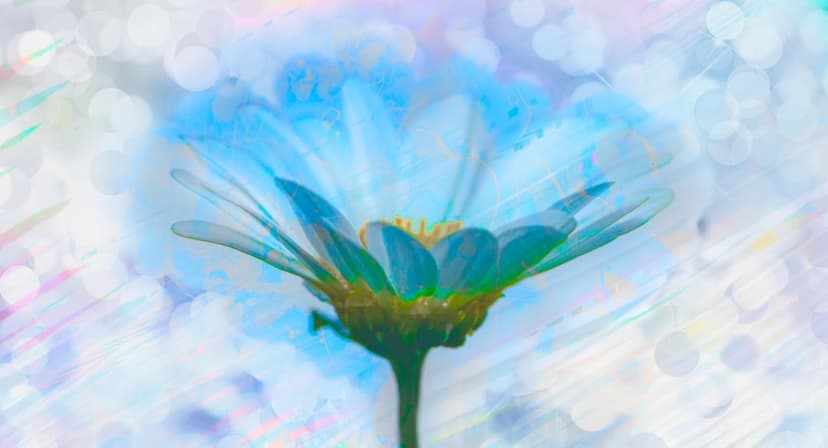 Cobalt blue daisy with a bright yellow center blooms against a backdrop of soft glowing bokeh light spheres.