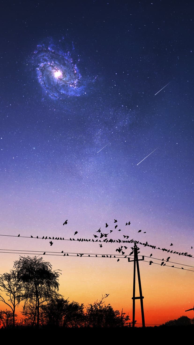 Birds silhouetted on power lines sit beneath a glowing spiral galaxy and meteors in a colorful twilight sky.