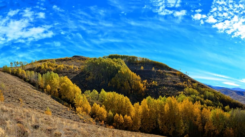 Golden yellow and green trees cover rolling hills under a bright blue sky with thin white clouds in a valley.