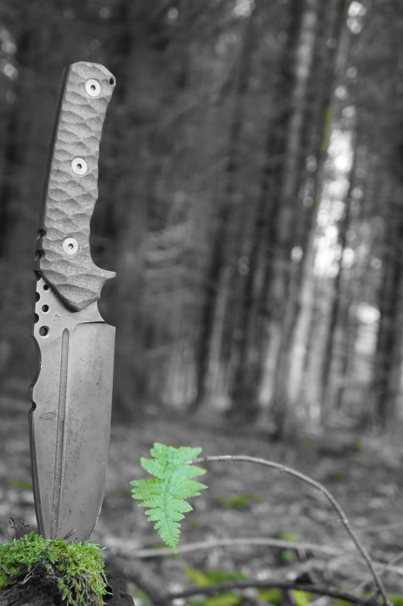 Weathered knife blade embedded in thick green moss with a vibrant fern leaf against a desaturated forest floor.