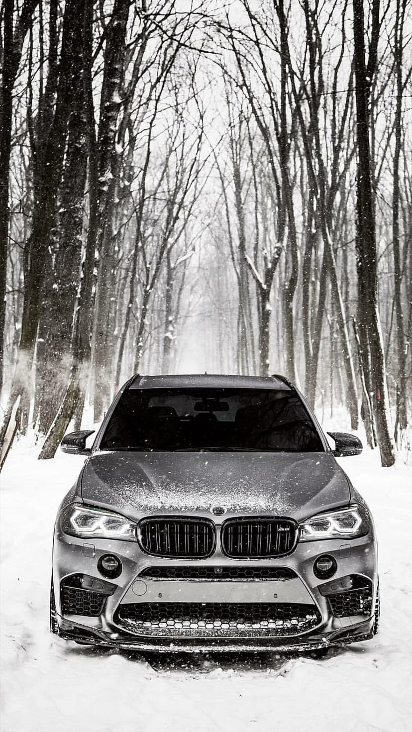 BMW X6 M SUV driving through a heavy winter snowstorm in a dense forest with bare trees and falling white flakes.
