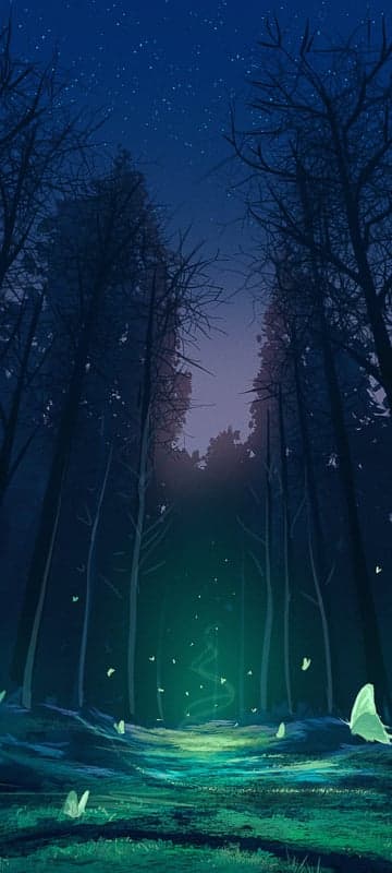 Enchanted Forest at Night with Fireflies and Butterflies