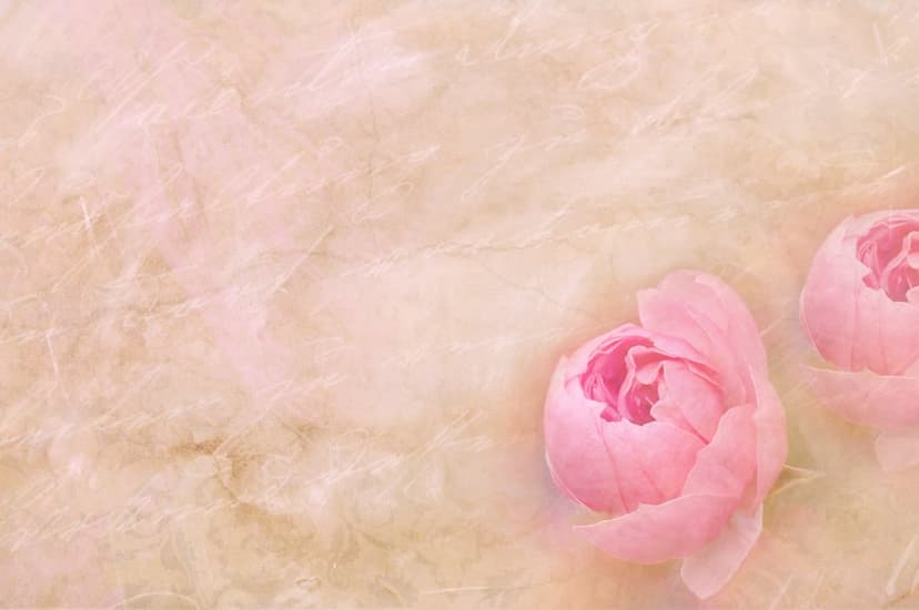 Two soft pink rosebuds centered on a rustic, textured sepia background with subtle shadows and vintage lighting.