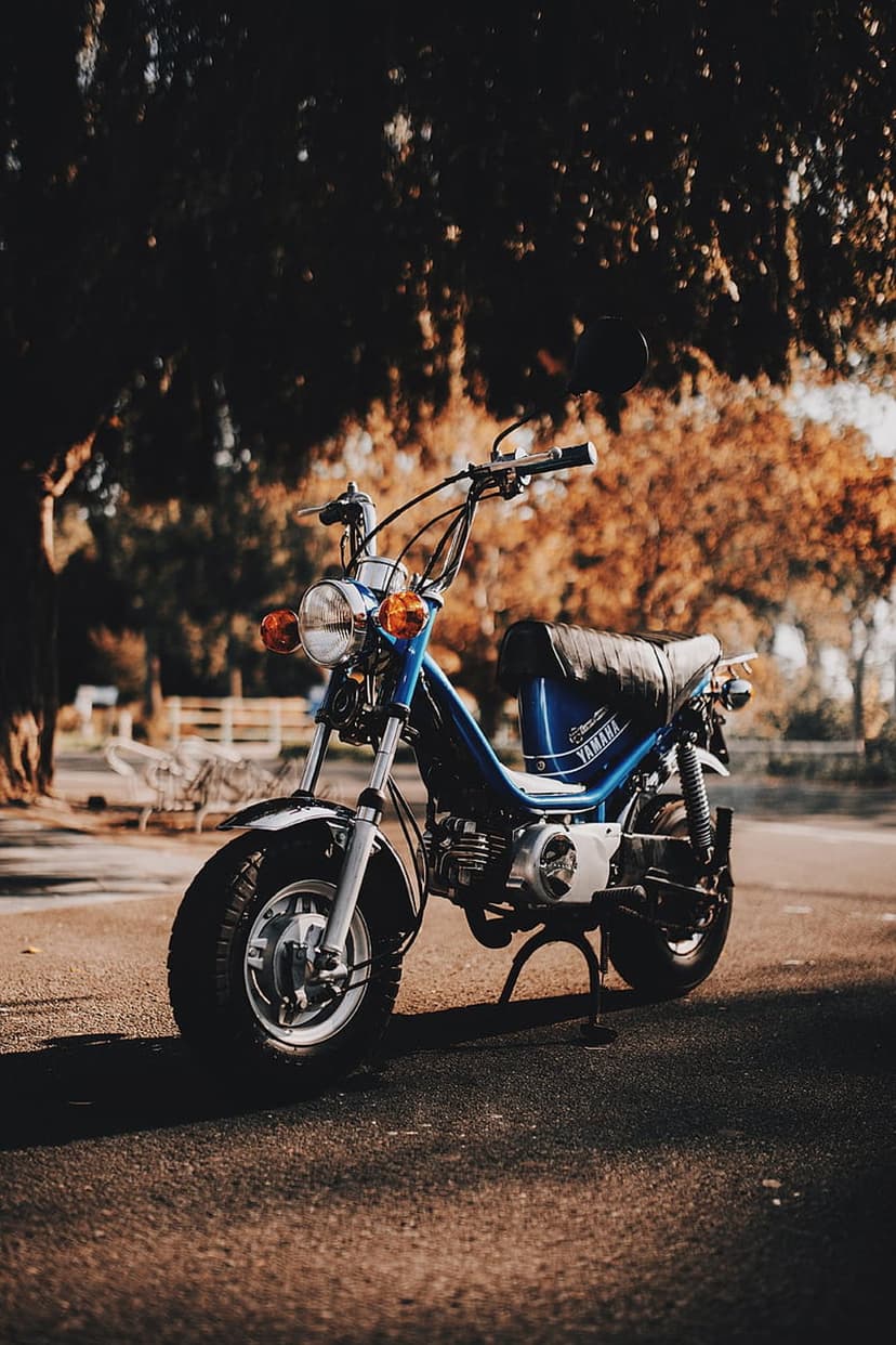 Vintage blue Yamaha moped parked on a road beneath a canopy of orange autumn leaves in dappled morning sunlight.