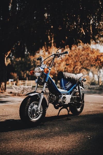 Classic Blue Moped Under Golden Fall Leaves Wallpaper