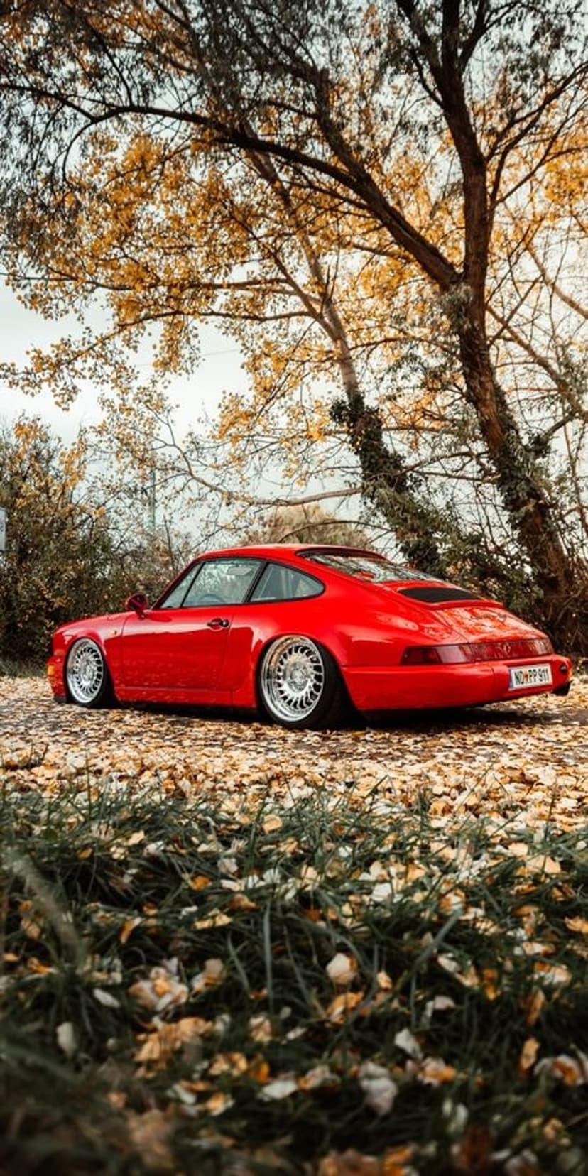 Red Porsche 911 sports car parked on a forest path covered in orange fallen leaves during the autumn season.
