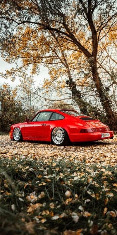 Red Porsche 911 parked in autumn foliage