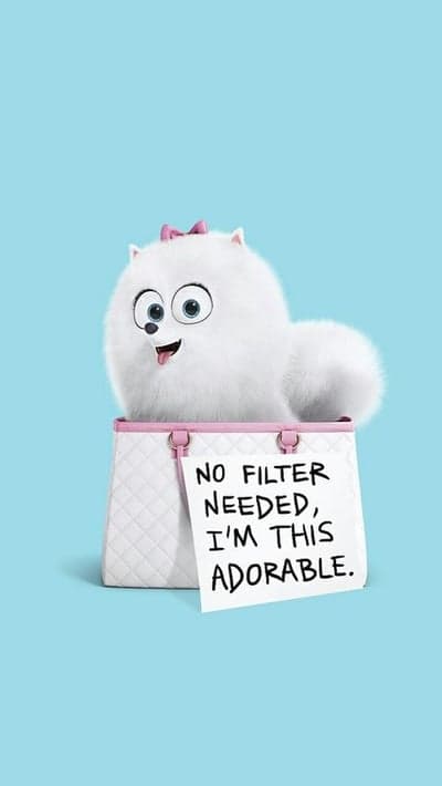 Furry Fashionista - Chloe's Adorable Statement