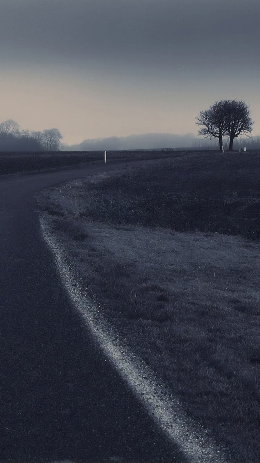 Narrow rural road winding through thick fog between silhouettes of bare trees in a monochrome landscape.