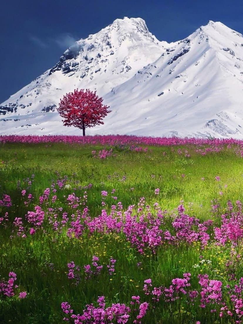 Small pink wildflowers and a red tree lead toward a jagged snow-capped mountain under a bright blue sky.
