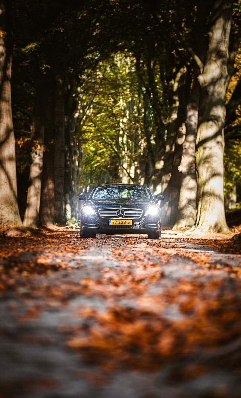 Black Mercedes sedan driving on a leaf-covered forest road during autumn with sunlight filtering through trees.