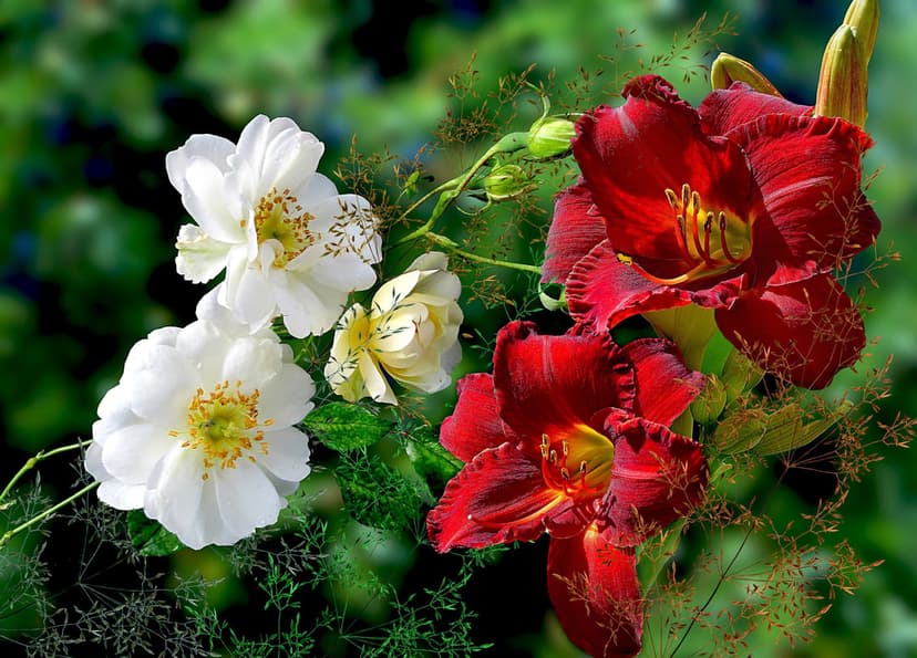 Crimson lily petals and white roses intertwine with green foliage in a detailed vertical macro flower shot.