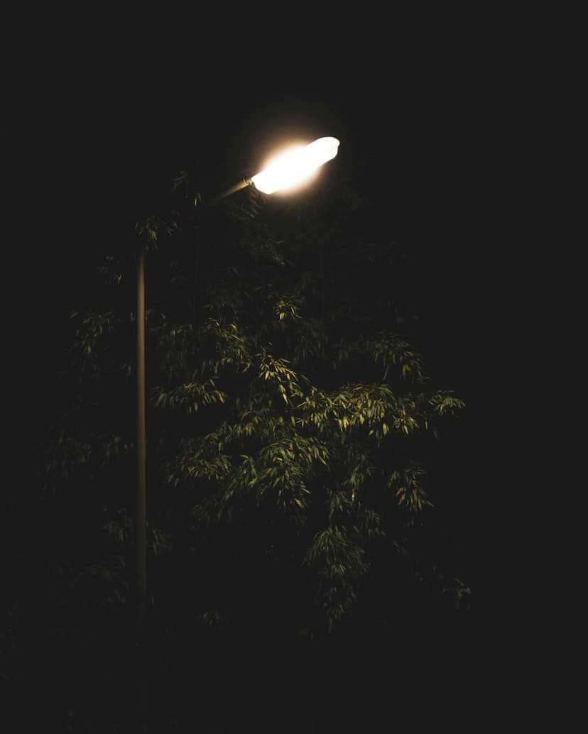 Streetlight casting a warm yellow glow onto textured tree leaves against a stark and deep black nighttime sky.