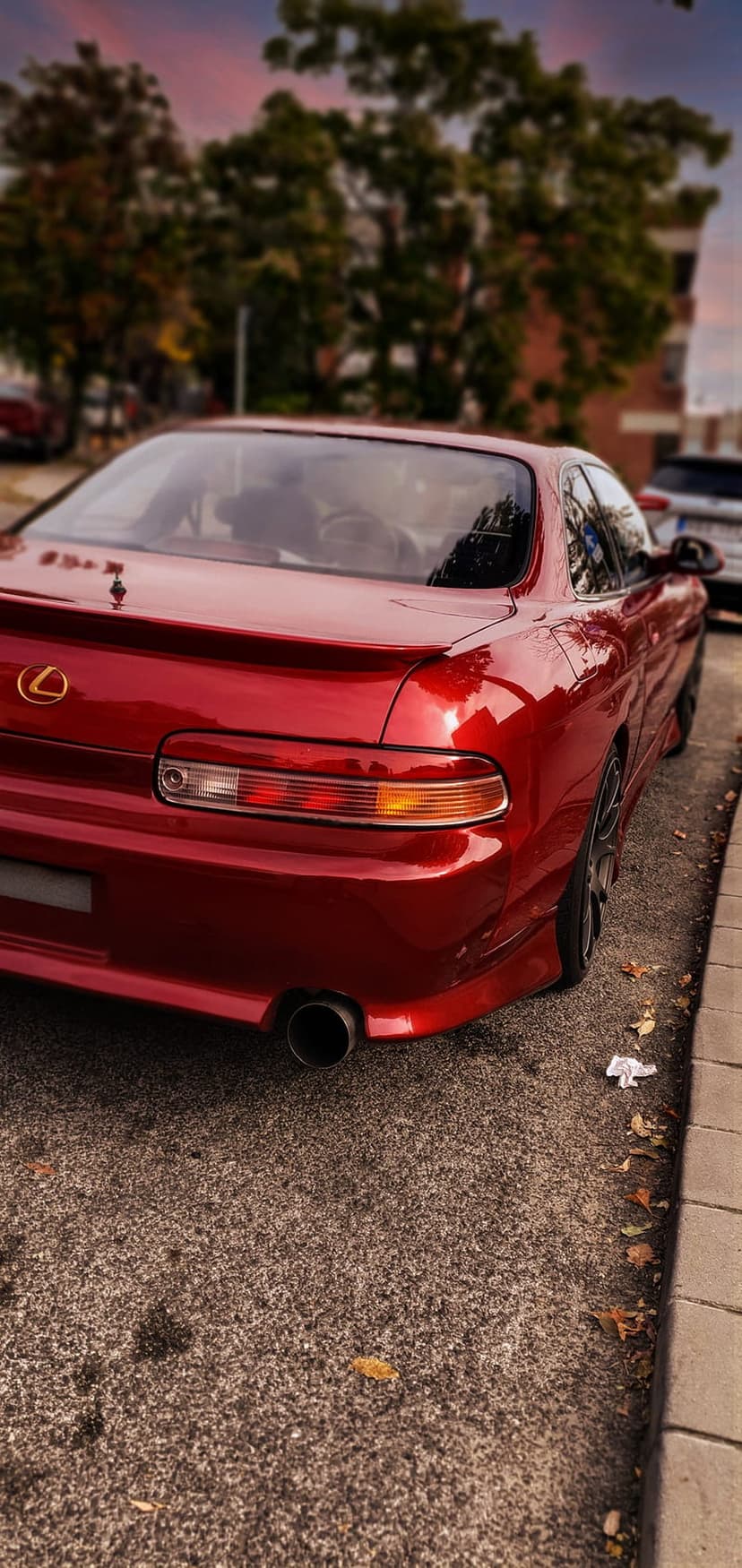 Red Lexus SC300 rear tail light and chrome exhaust pipe on asphalt with fallen autumn leaves during sunset.