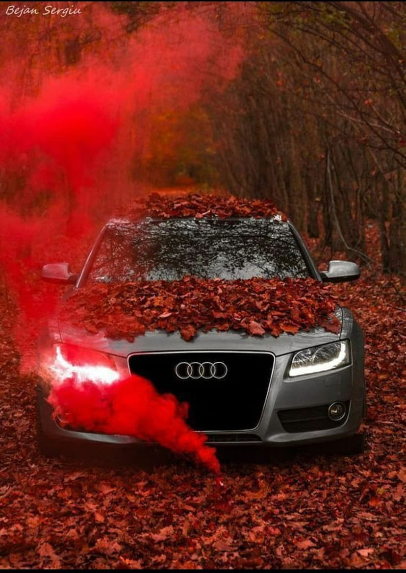 Gray Audi car parked on a road covered in red leaves with thick red smoke billowing from the front engine.