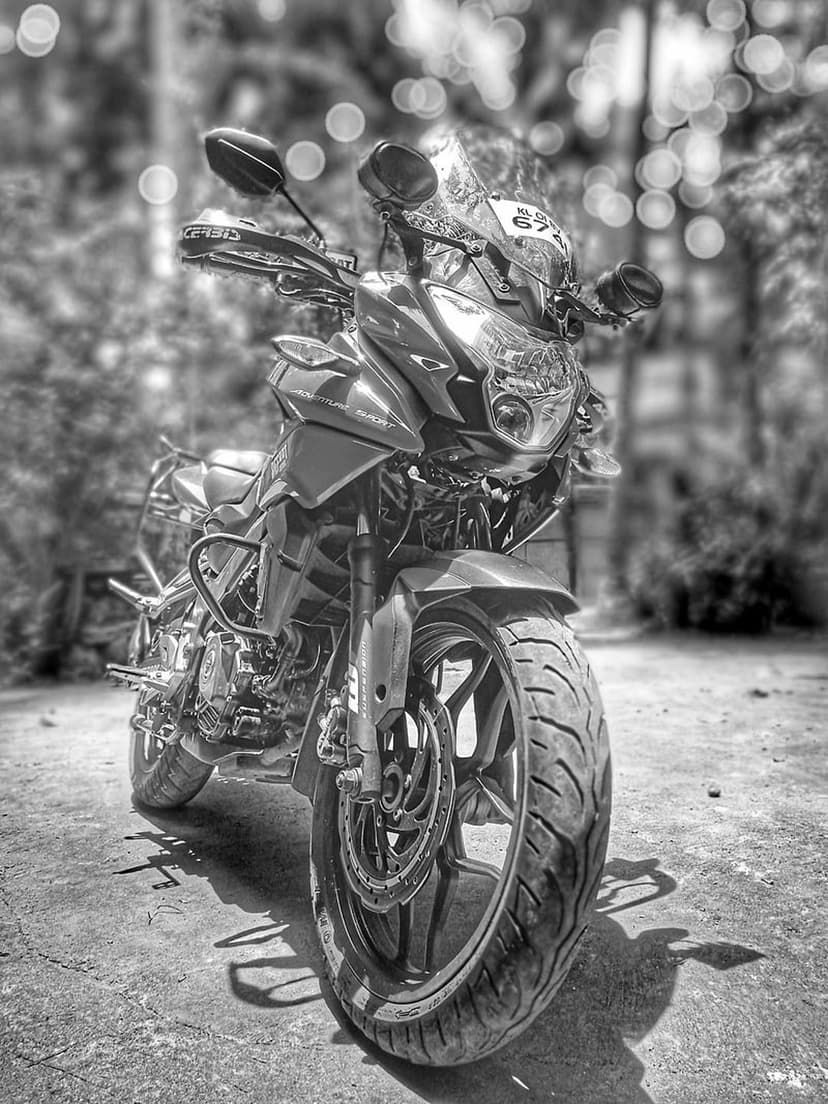 Custom motorcycle captured from a low angle in black and white against a blurred foliage background.