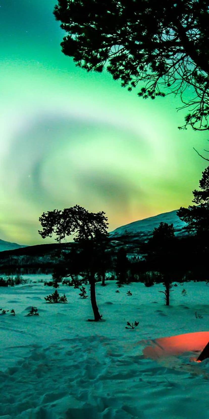Green Northern Lights spiral over a snow-covered mountain peak and dark pine forest under a starry night sky.