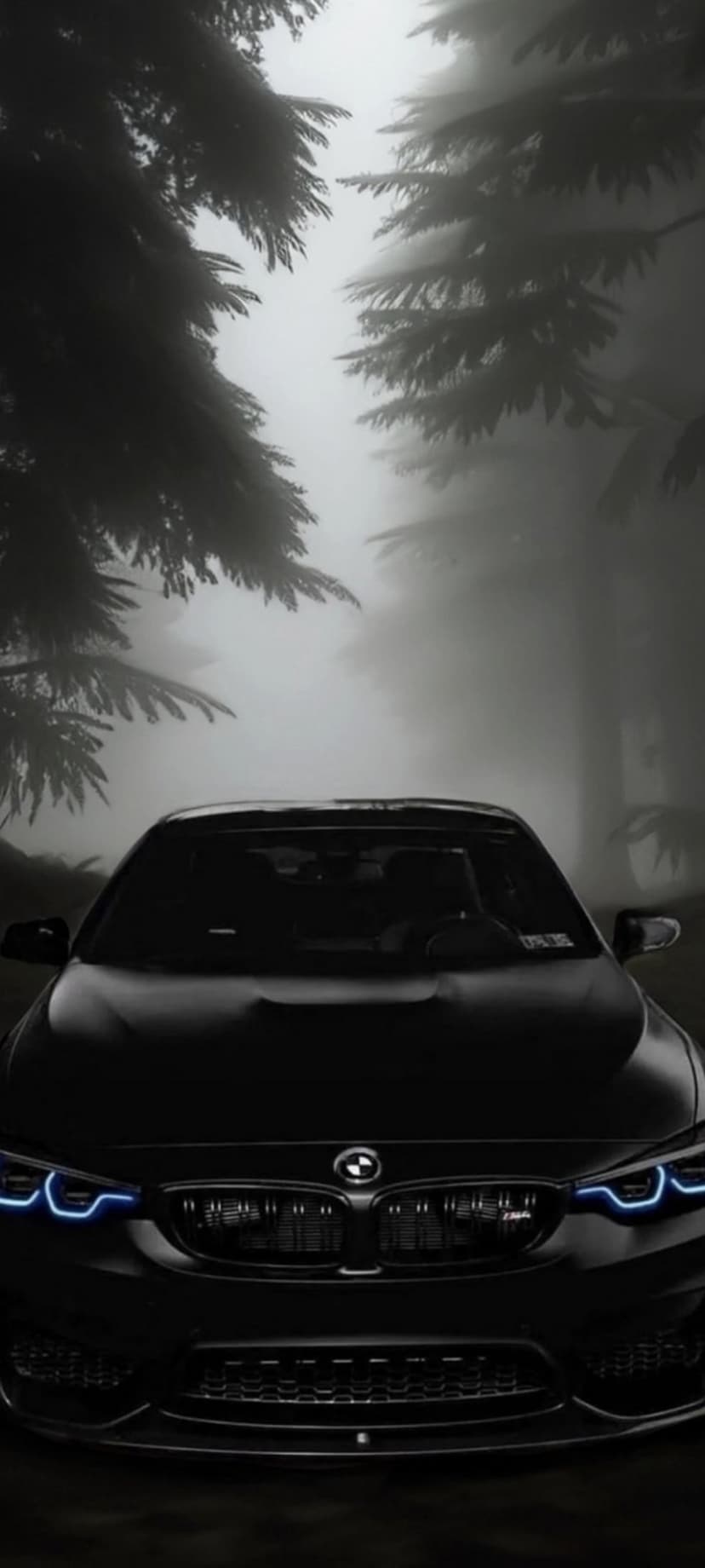 Black BMW M4 sports car with glowing blue headlights parked on a foggy forest road amidst dense trees and mist.
