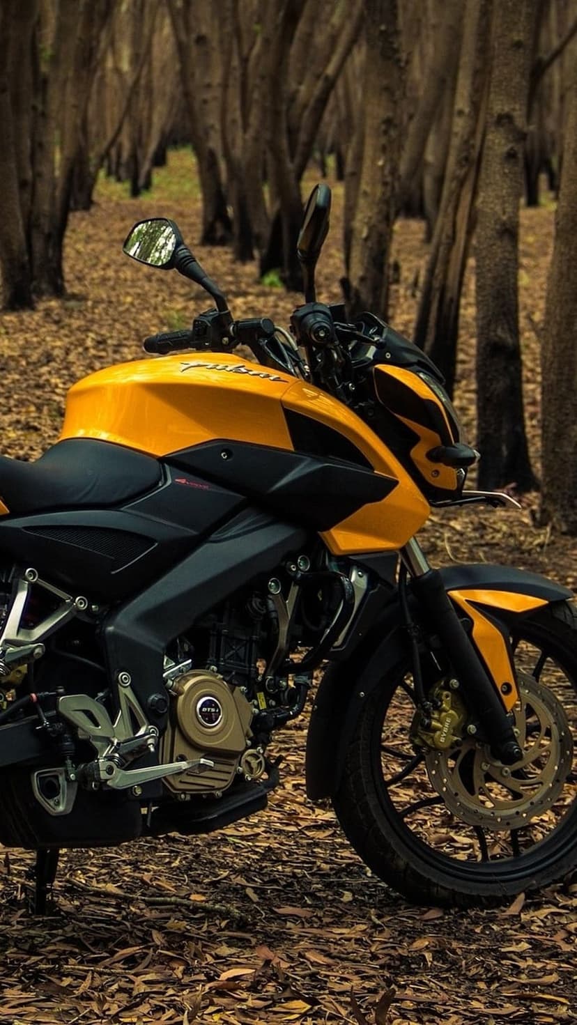 Yellow Bajaj Pulsar motorcycle parked on a forest floor covered in brown leaves between tall deciduous trees.