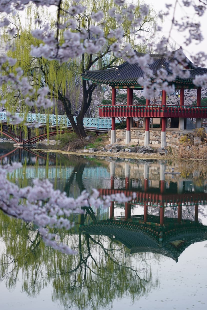 Traditional Korean pavilion with red railings reflected in a pond framed by blooming pink cherry blossoms.