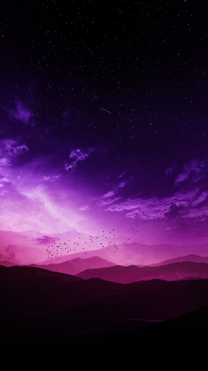 Purple mountain silhouettes stand against a starry sky with a shooting star and flying birds in the distance.