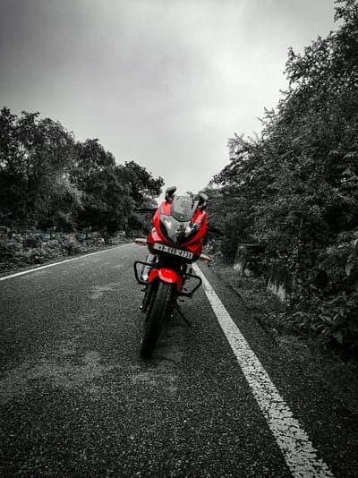 Red Sportbike on Winding Forest Road Mobile Wallpaper