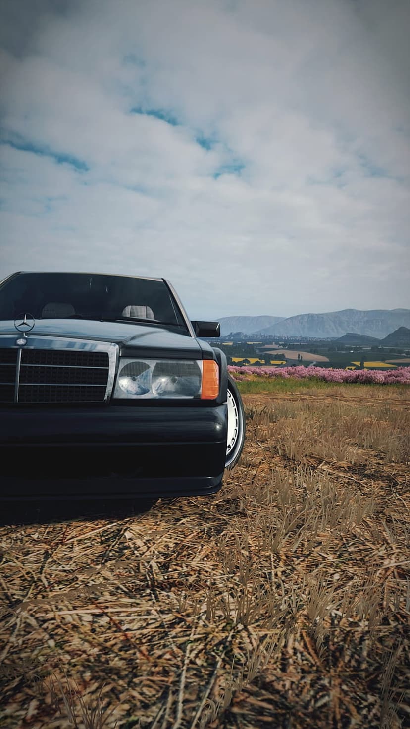 Mercedes 190E front grille and headlight in a dry field with pink flowers under a dramatic cloudy sky.