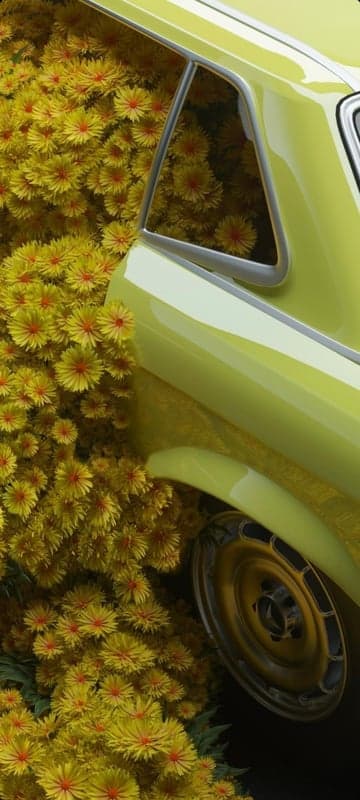 Yellow car immersed in vibrant yellow flowers
