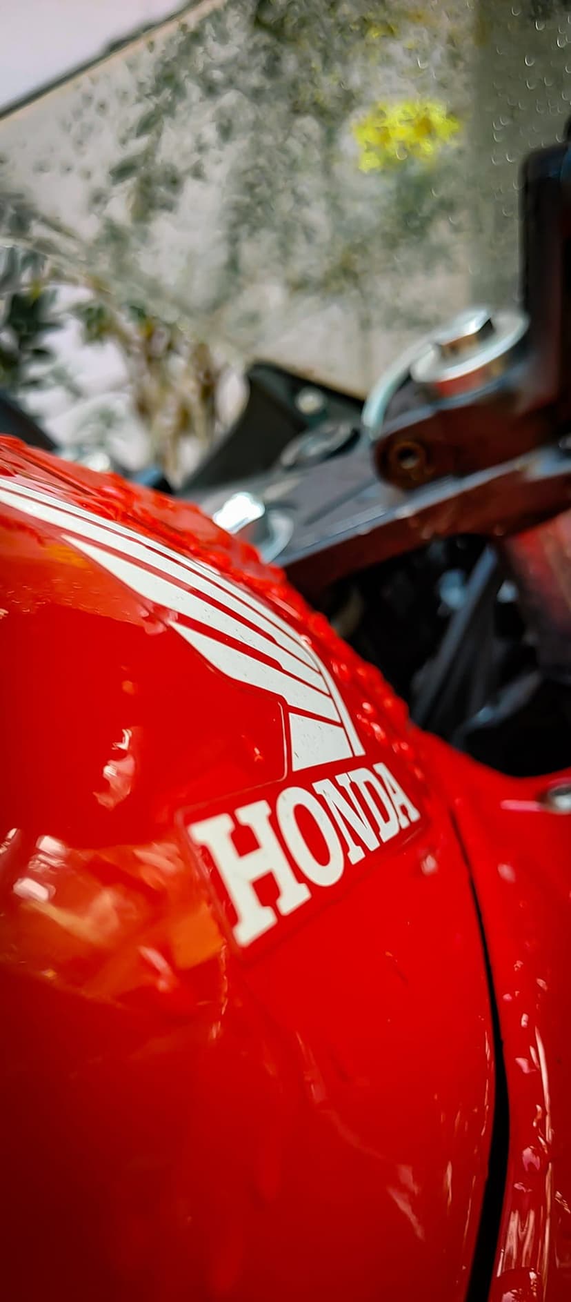 Red Honda motorcycle fuel tank with a white logo and clear water droplets on a glossy, reflective surface.
