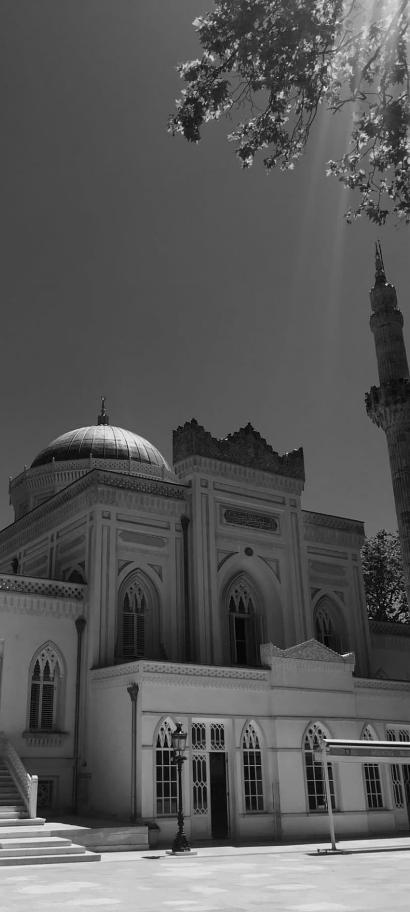 Mosque dome and minaret with intricate stone carvings under sunbeams and tree branch shadows in monochrome.