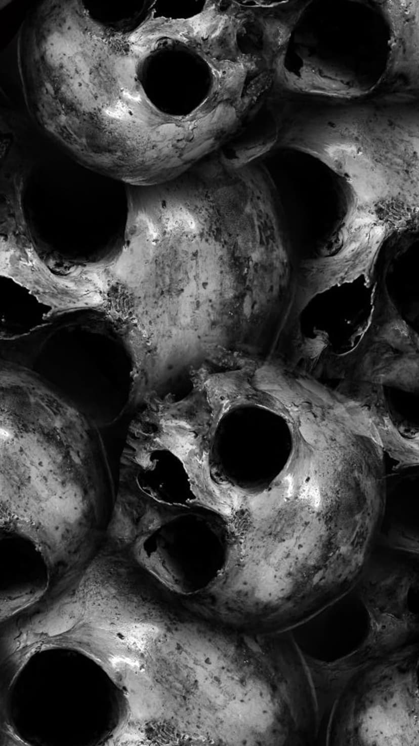 Human skulls with deep black eye sockets and cracked bone textures are piled together in a high-contrast close-up.