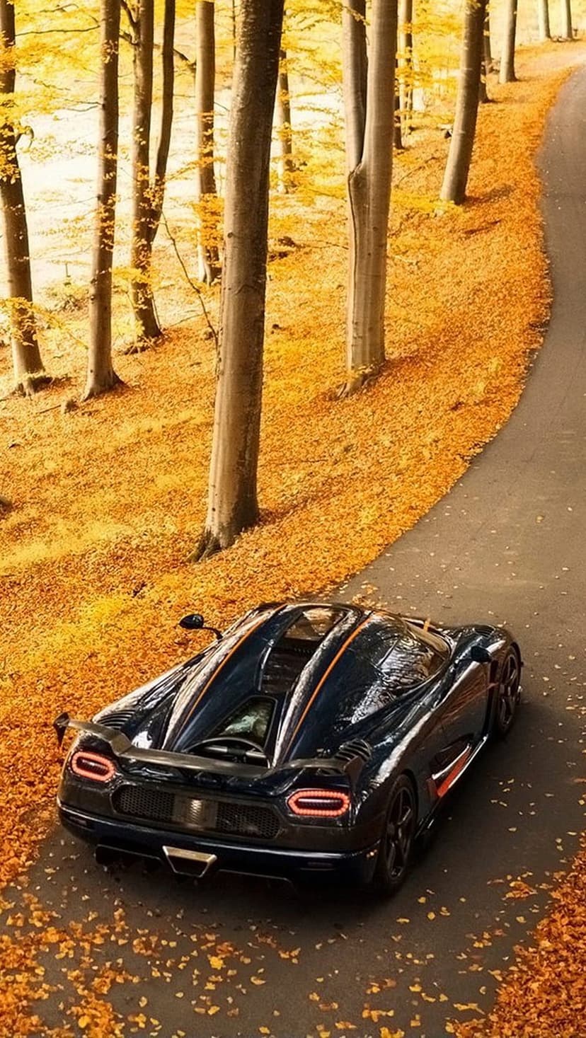 Dark blue sports car with orange stripes driving on a road covered in orange leaves through a dense forest.